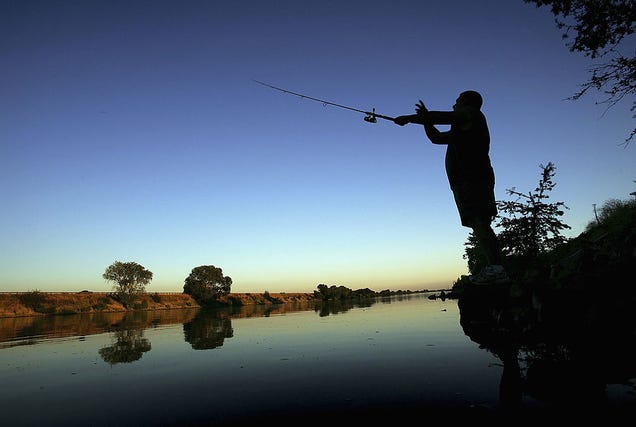 The 5 best states in America for fishing right now