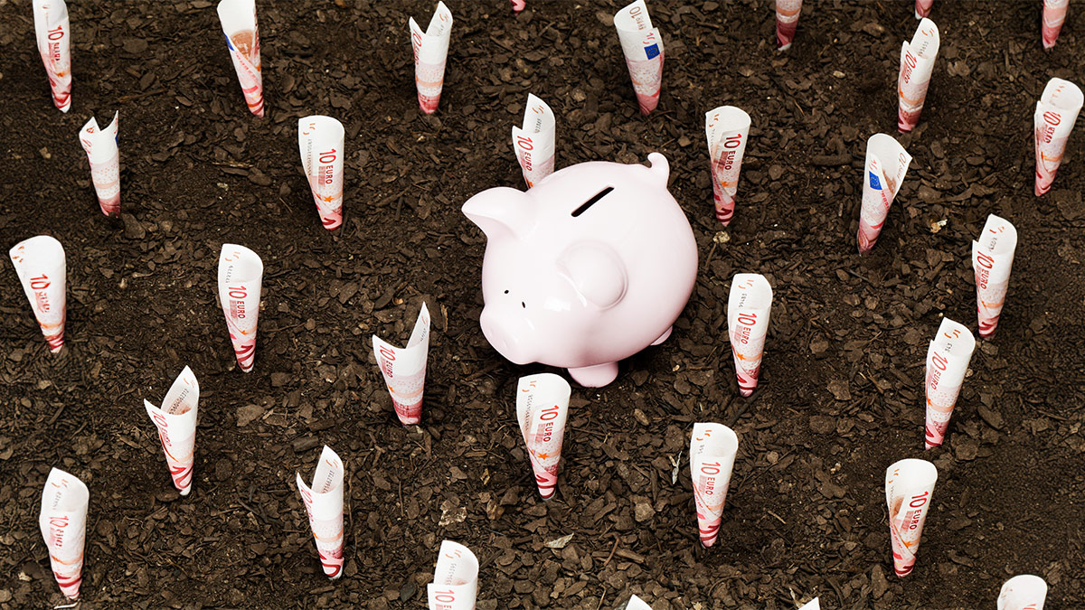 How VCs Can Create a Winning Investment Thesis