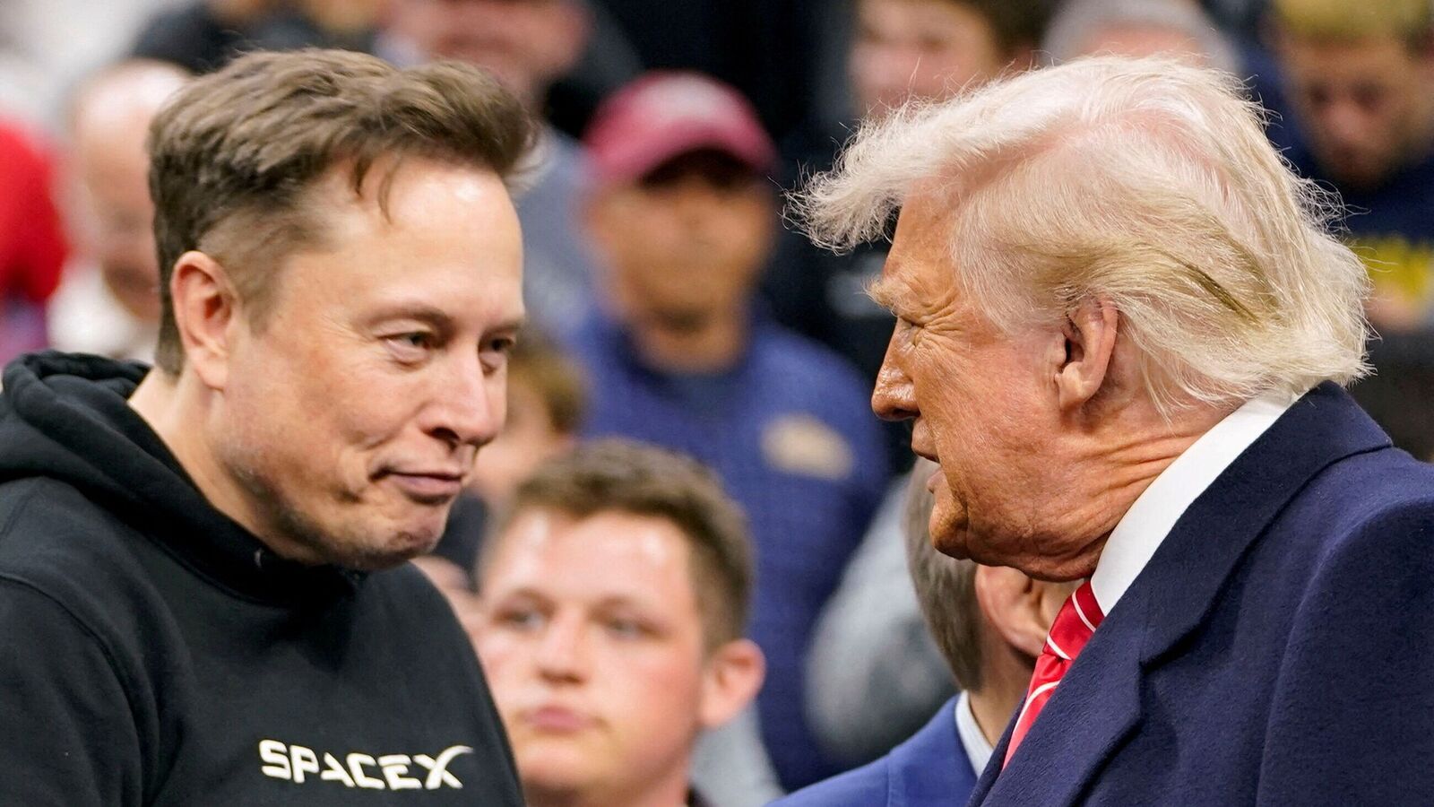 Elon Musk reveals strong bond with Donald Trump: ‘Get along very well, almost always agree’